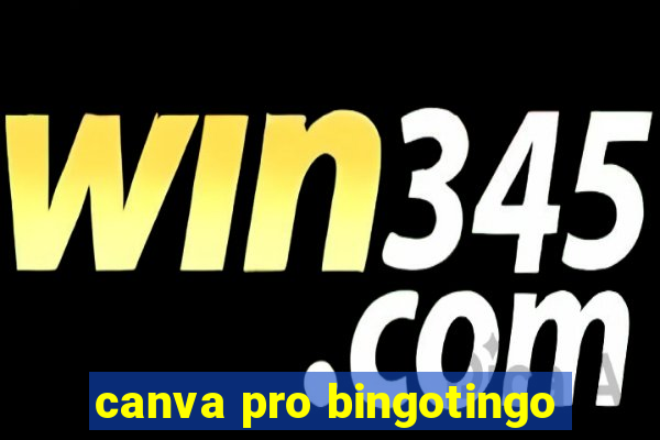 canva pro bingotingo