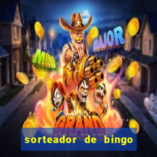 sorteador de bingo 90 bolas online